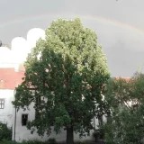 Dom mit Regenbogen 1 September 2017  GN